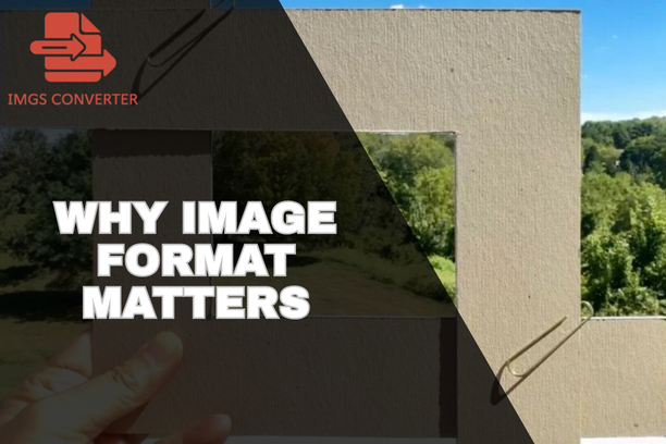 Image Format Matters